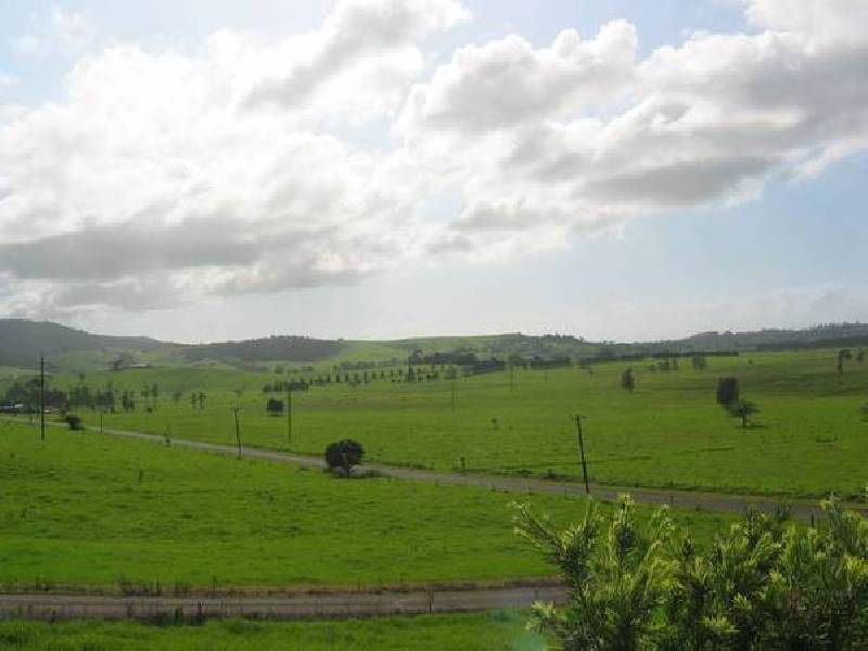 156 Tollijooa Road, Toolijooa NSW 2534