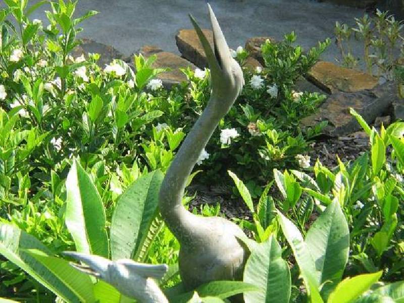 156 Tollijooa Road, Toolijooa NSW 2534