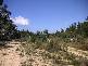 Welcome Reef Road, Nerriga NSW 2622