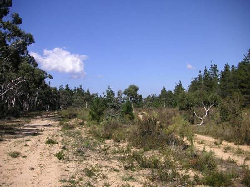 Welcome Reef Road, Nerriga NSW 2622