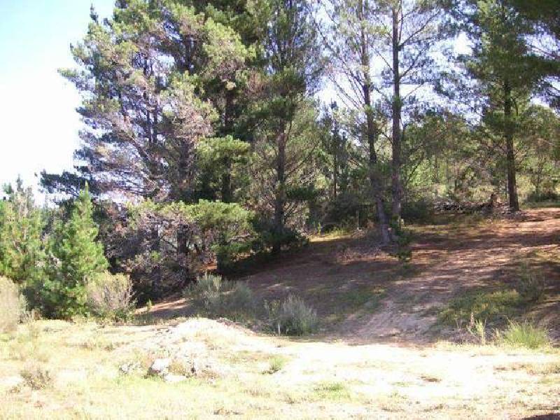 Welcome Reef Road, Nerriga NSW 2622