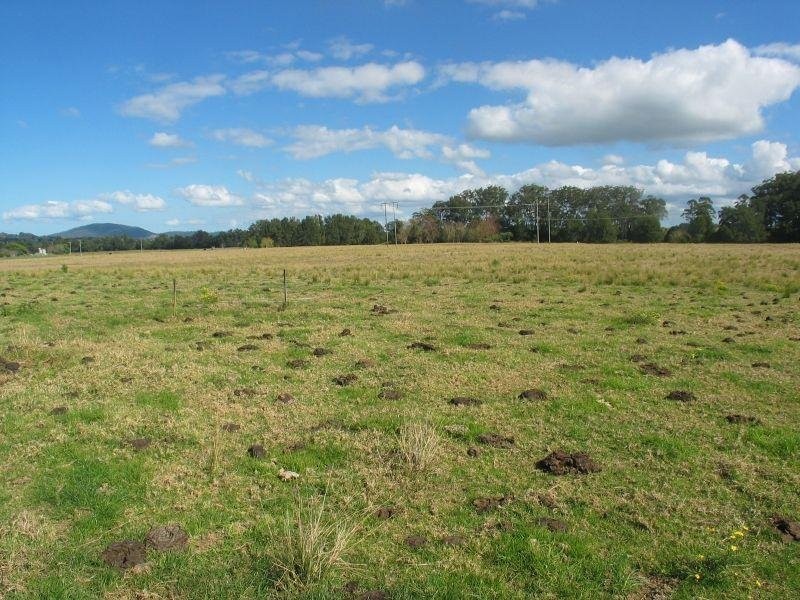 3/A Bong Bong Road, Berry NSW 2535