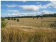 3/A Bong Bong Road, Berry NSW 2535