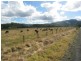 3/A Bong Bong Road, Berry NSW 2535