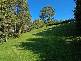 210 Pulman Street, Berry NSW 2535