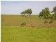 490 Backforest Road, Berry NSW 2535