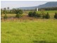 490 Backforest Road, Berry NSW 2535