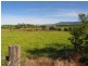 490 Backforest Road, Berry NSW 2535