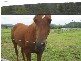 199 Princes Hwy, Berry NSW 2535