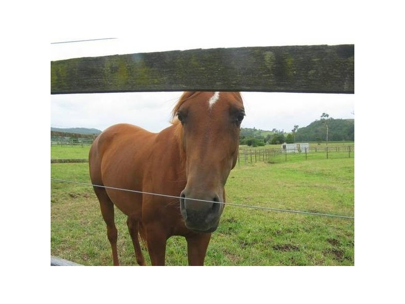 199 Princes Hwy, Berry NSW 2535