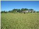 15c Campbells Run, Berry NSW 2535