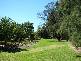 Millbank Road, Terara NSW 2540