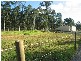 77 Watt Road, Falls Creek NSW 2540