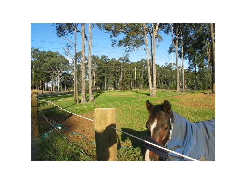 77 Watt Road, Falls Creek NSW 2540