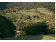 246B Tindalls Lane, Berry NSW 2535