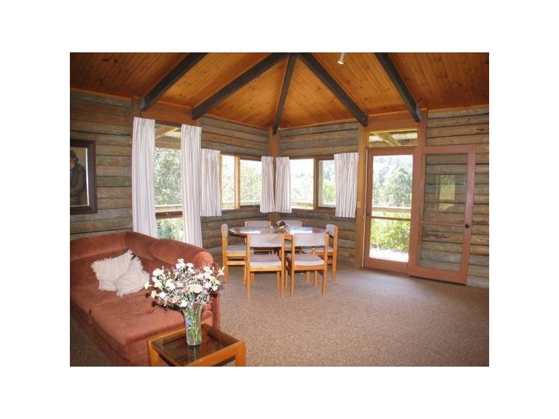 246B Tindalls Lane, Berry NSW 2535