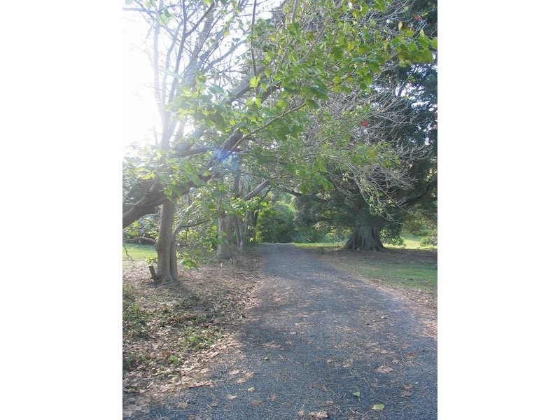 246B Tindalls Lane, Berry NSW 2535