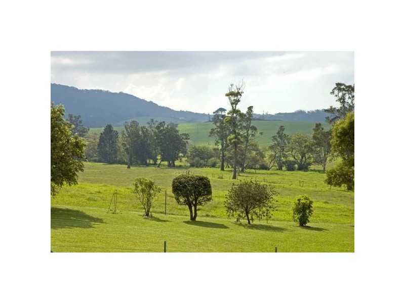 89 Toolijooa Road, Toolijooa NSW 2534