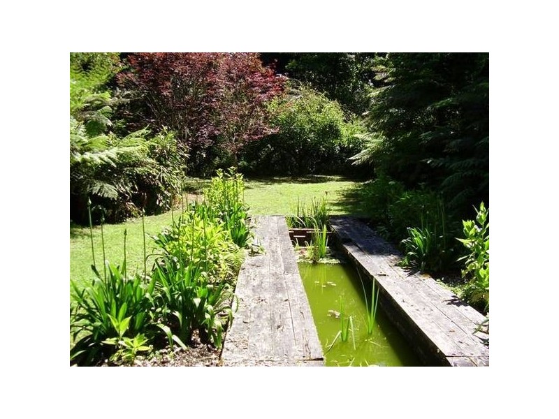 96 Tourist Road, Berry NSW 2535