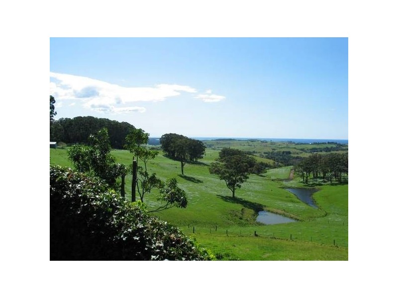 299 Fountaindale Road, Jamberoo NSW 2533