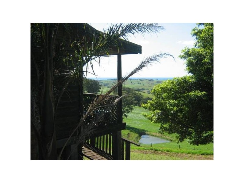 299 Fountaindale Road, Jamberoo NSW 2533