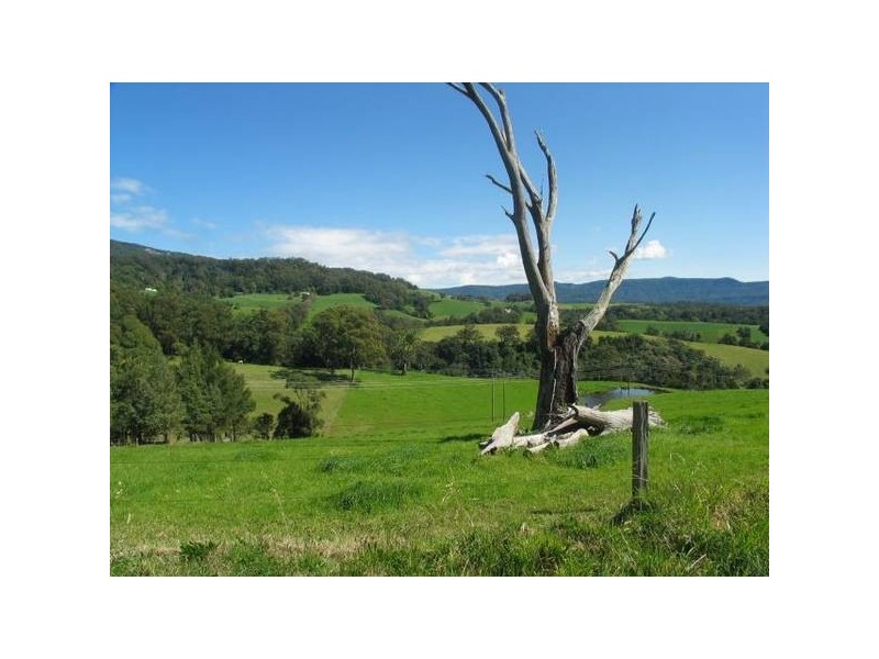 299 Fountaindale Road, Jamberoo NSW 2533