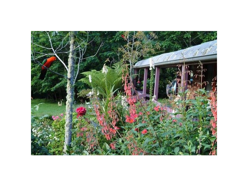 61a Priddles Lane, Berry NSW 2535