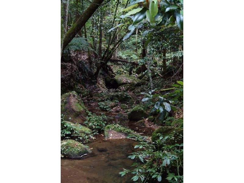 61a Priddles Lane, Berry NSW 2535