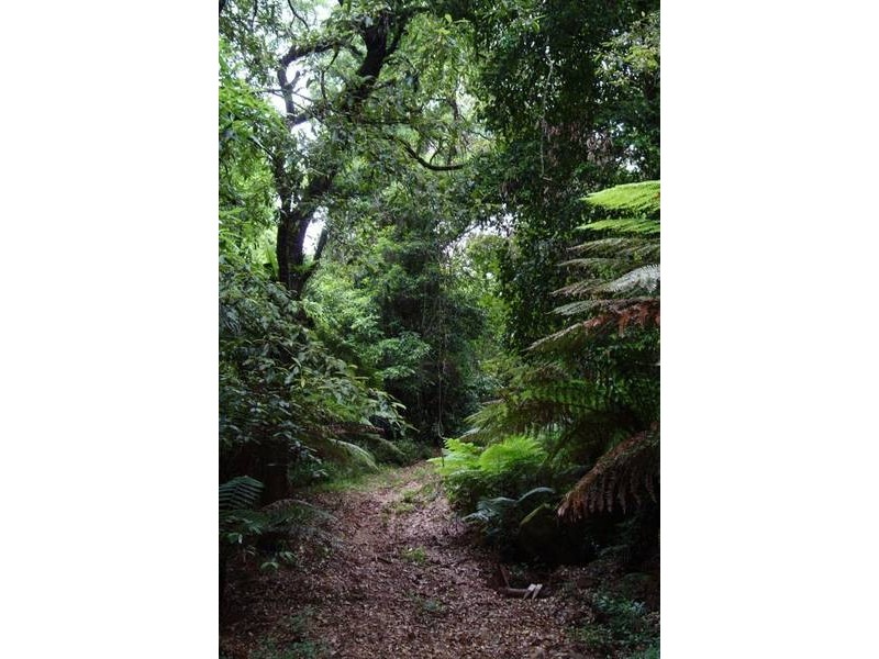 61a Priddles Lane, Berry NSW 2535