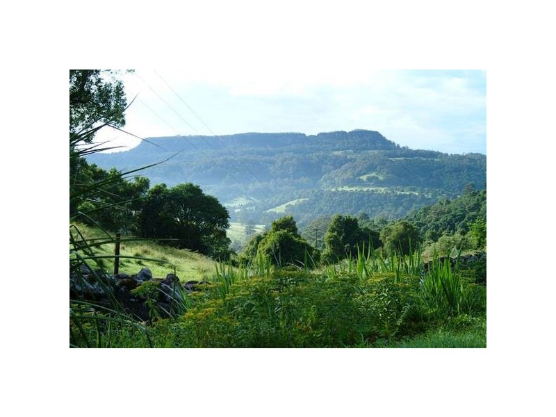 61a Priddles Lane, Berry NSW 2535