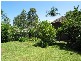 8 Windsor Drive, Berry NSW 2535