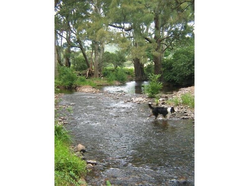 10 Austral Park Road, Broughton NSW 2535