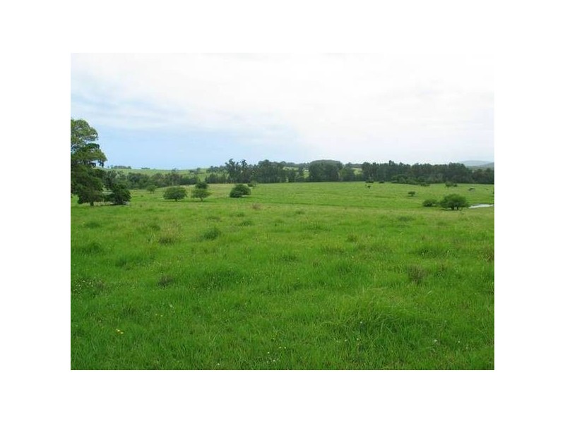 10 Austral Park Road, Broughton NSW 2535