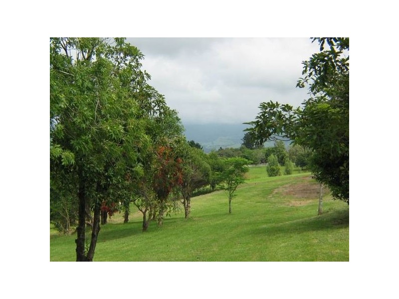 380 Coolangatta Road, Berry NSW 2535