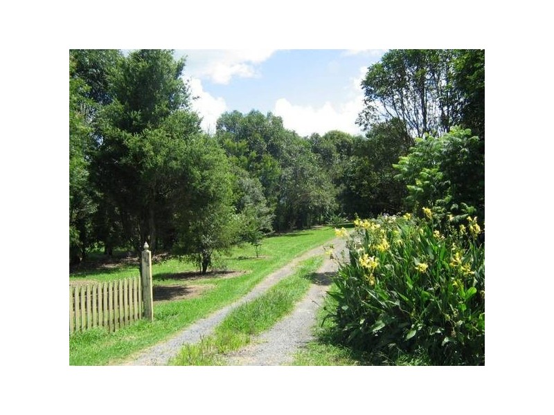 445 Bolong Road, Bolong NSW 2540