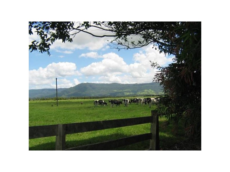 445 Bolong Road, Bolong NSW 2540