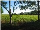 Foxground NSW 2534