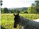 Foxground NSW 2534