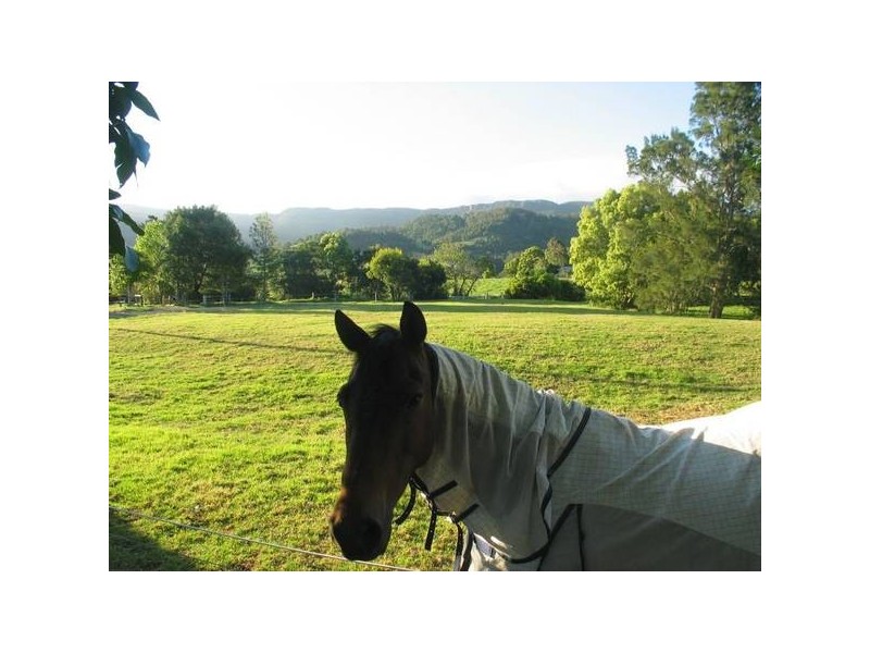 Foxground NSW 2534