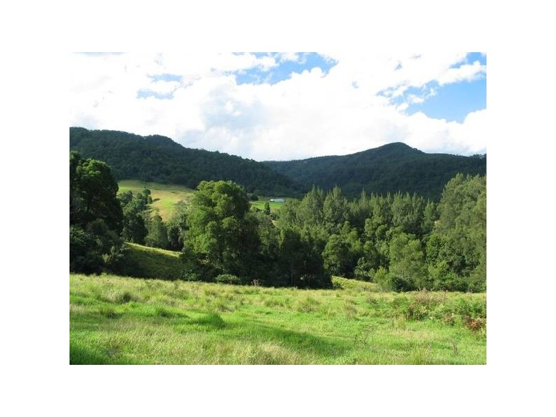 Lot 100 Priddles Lane, Wattamolla NSW 2535