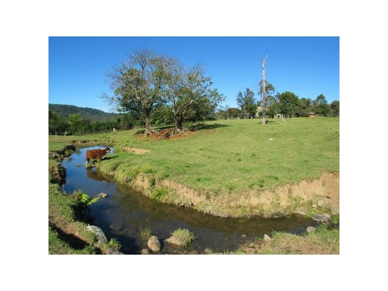 189 Free Selectors Road, Foxground NSW 2534