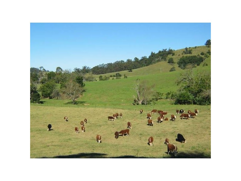 189 Free Selectors Road, Foxground NSW 2534