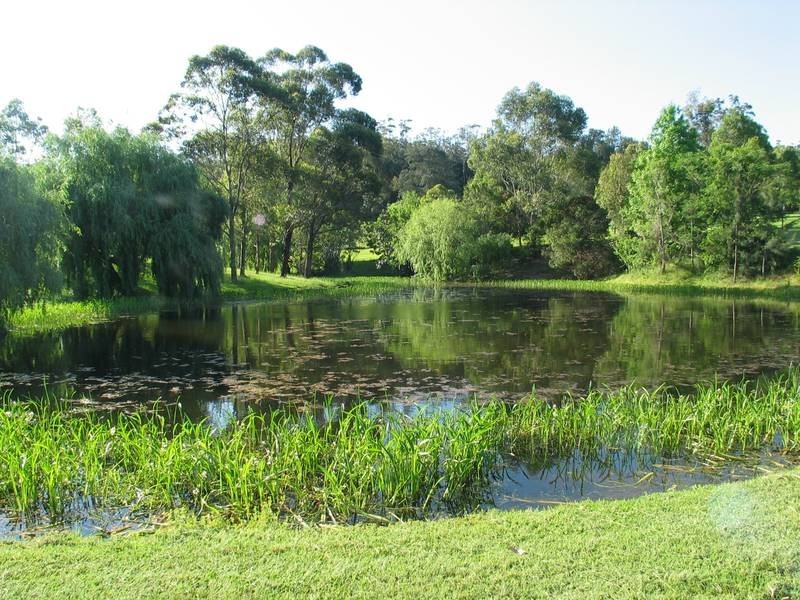 59 Broughton Vale Road, Berry NSW 2535