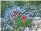 Berry NSW 2535