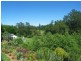Berry NSW 2535