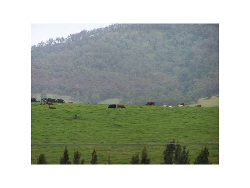 411 Coolangatta Road, Shoalhaven Heads NSW 2535