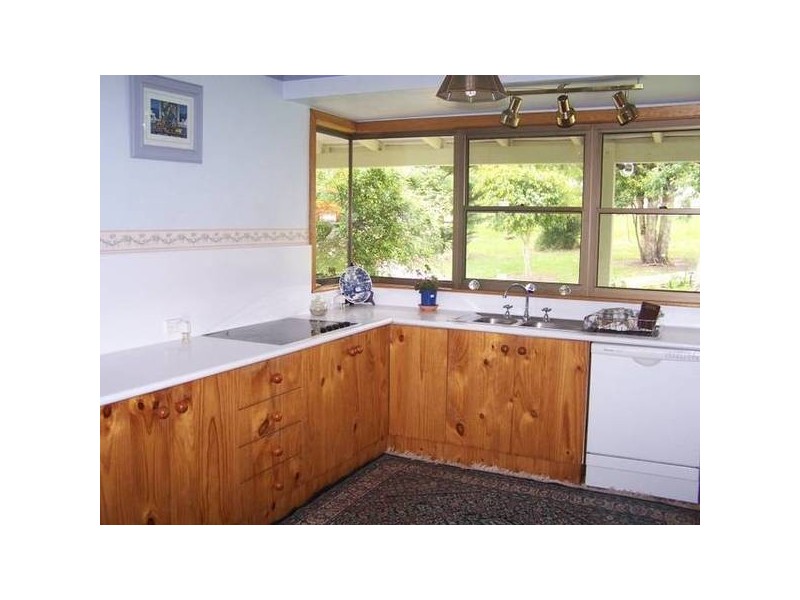 411 Coolangatta Road, Shoalhaven Heads NSW 2535