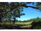 209 Kangaroo Valley Road, Berry NSW 2535