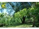209 Kangaroo Valley Road, Berry NSW 2535