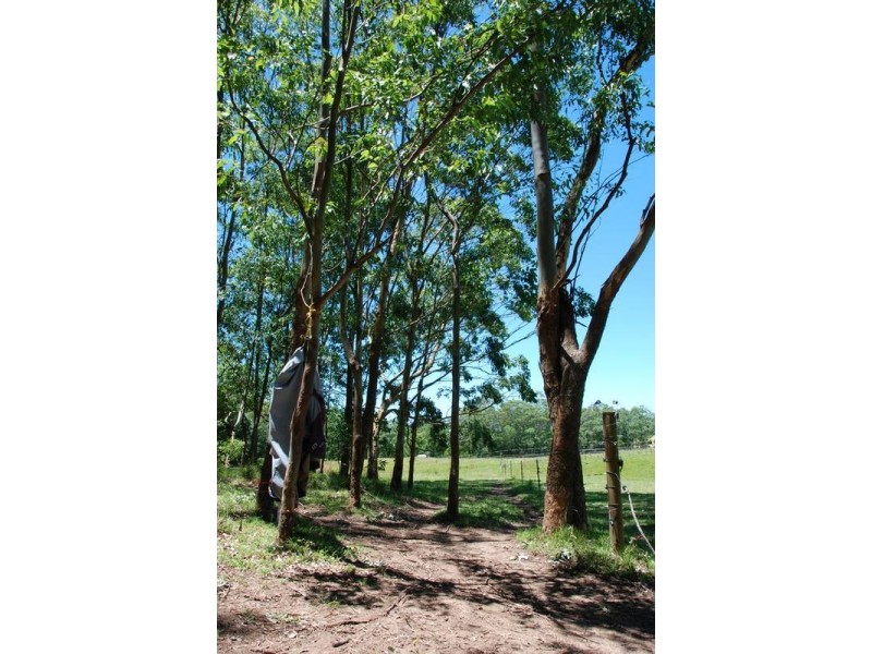 209 Kangaroo Valley Road, Berry NSW 2535